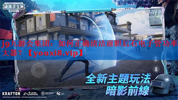 如何正确清洁前胆后石电子管功率放大器? 如何正确清洁前胆后石电子管功率放大器?