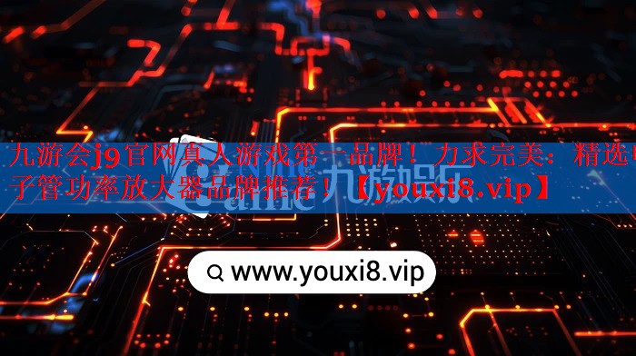 力求完美:精选电子管功率放大器品牌推荐! 力求完美:精选电子管功率放大器品牌推荐!