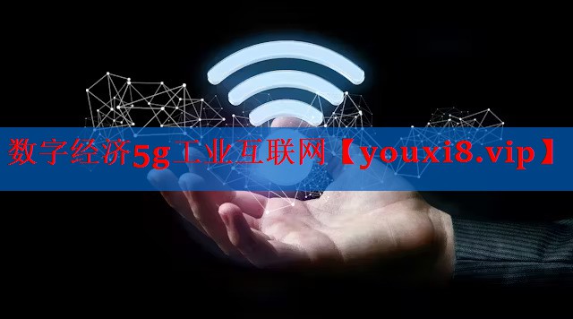 数字经济5g工业互联网 数字经济5g工业互联网