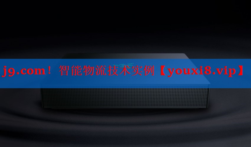 智能物流技术实例 智能物流技术实例