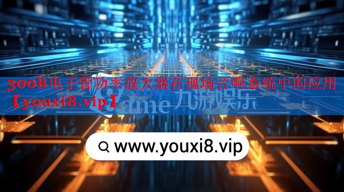 300B电子管功率放大器在现场音响系统中的应用 300B电子管功率放大器在现场音响系统中的应用