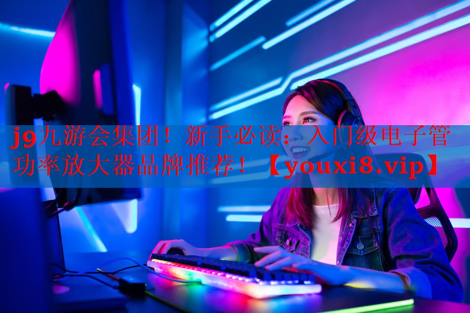 新手必读:入门级电子管功率放大器品牌推荐! 新手必读:入门级电子管功率放大器品牌推荐!