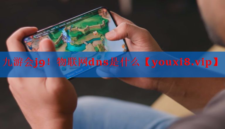物联网dns是什么 物联网dns是什么
