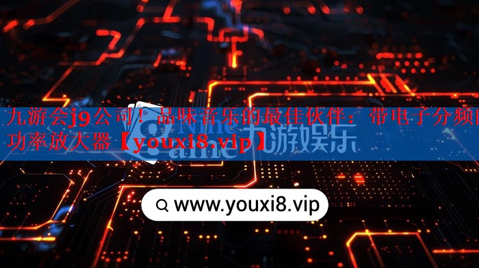 品味音乐的最佳伙伴:带电子分频的功率放大器 品味音乐的最佳伙伴:带电子分频的功率放大器