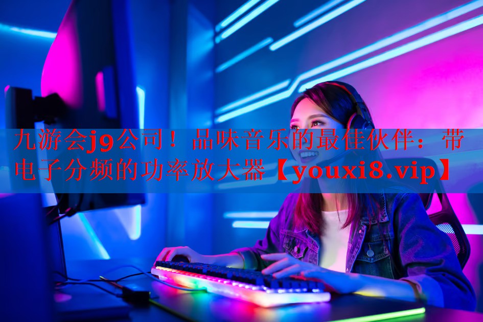 品味音乐的最佳伙伴:带电子分频的功率放大器 品味音乐的最佳伙伴:带电子分频的功率放大器
