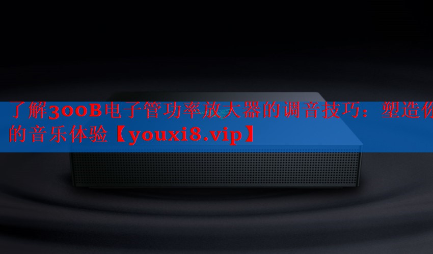 了解300B电子管功率放大器的调音技巧:塑造你的音乐体验 了解300B电子管功率放大器的调音技巧:塑造你的音乐体验